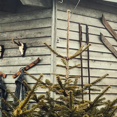 Hotel Burghotel Scharfenstein Leinefelde-Worbis